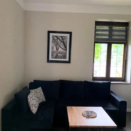 Apartamenty Villa Akant Piechowice  Bagian luar foto