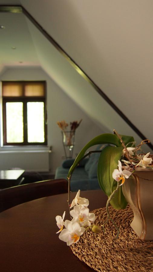 Apartamenty Villa Akant Piechowice  Bagian luar foto