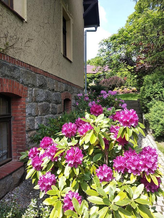Apartamenty Villa Akant Piechowice  Bagian luar foto